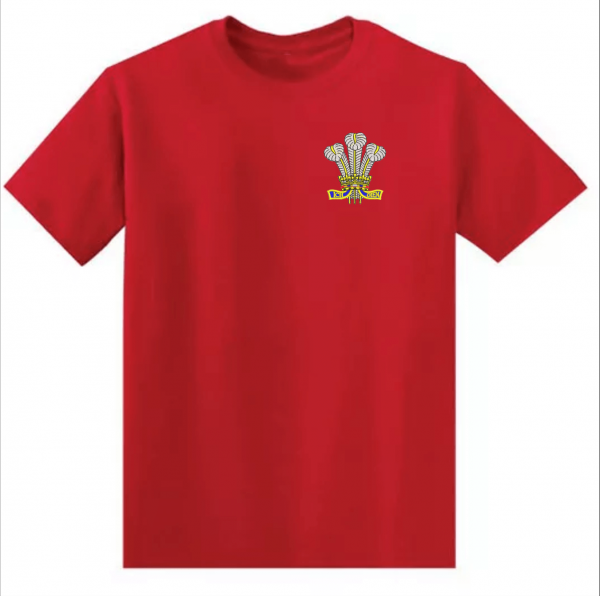 Welsh Feathers T-Shirt